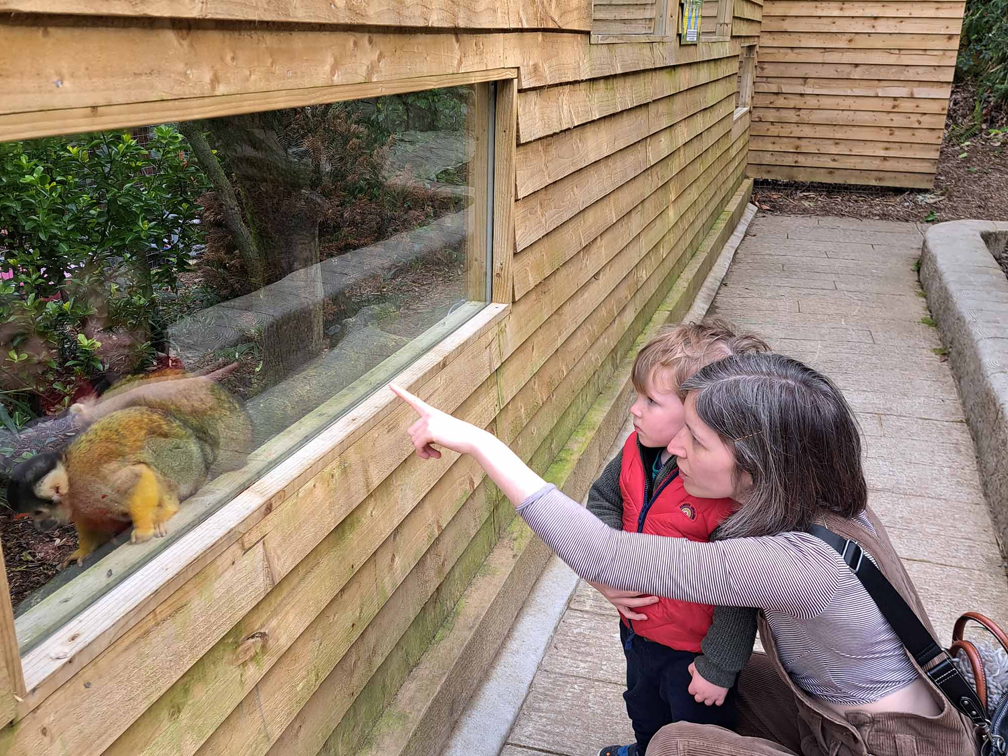 exmoor dinosaur wildlife park