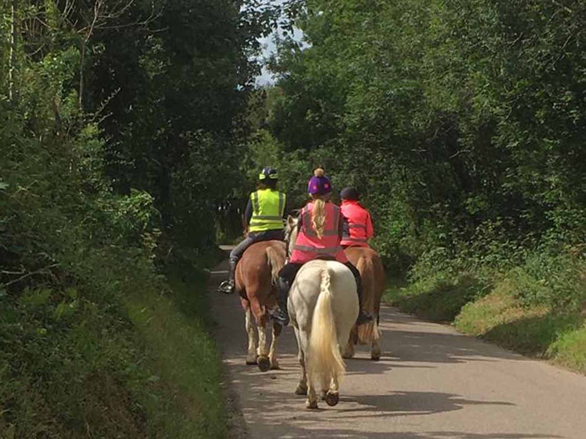 horse riding devon